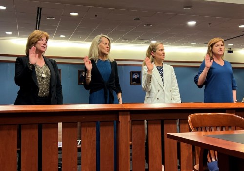 Partnerships of Women's Organizations in Fairfax County, VA: A Comprehensive Guide